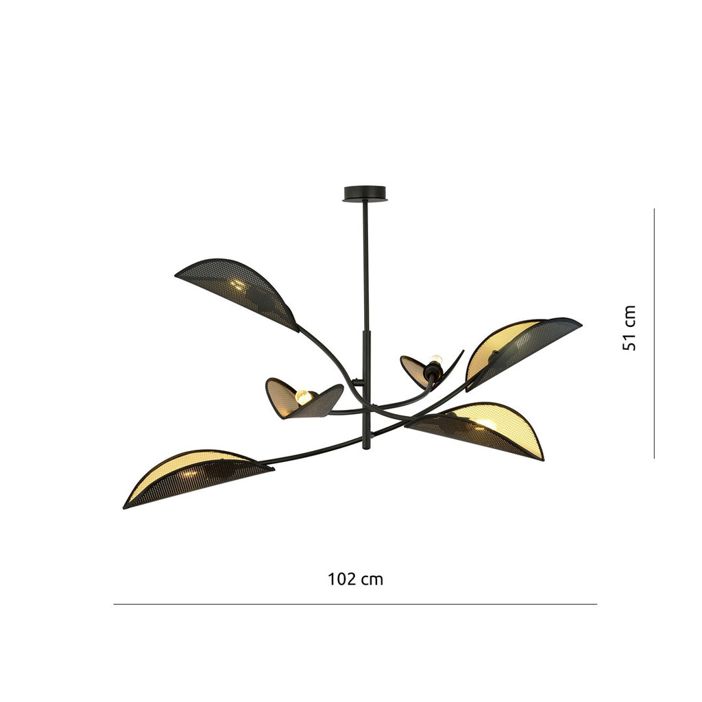 LOTUS 6 BLACK/GOLD
