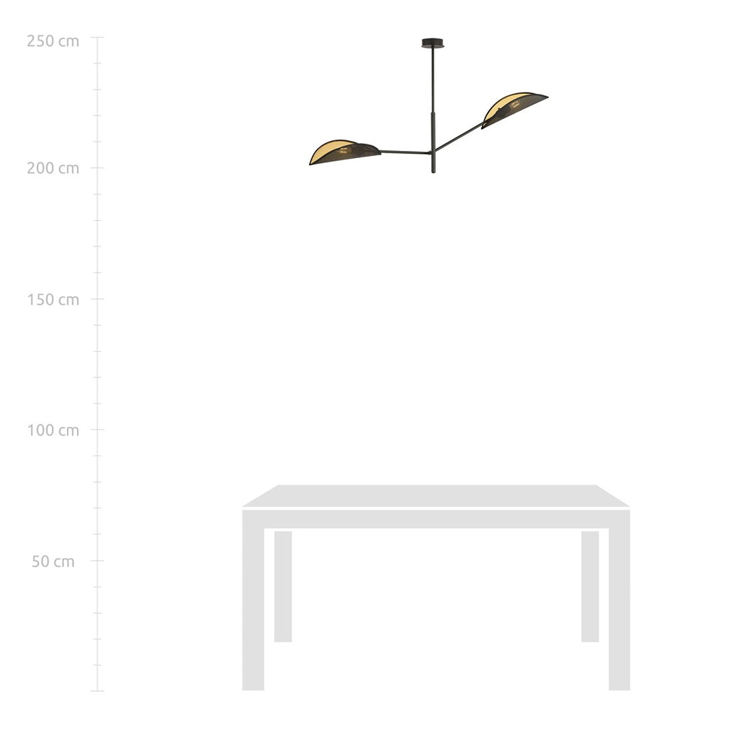 VENE 2 BLACK/GOLD