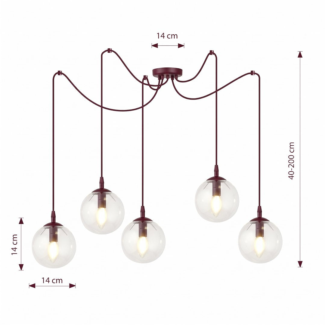 GIGI 5 BURGUNDY TRANSPARENT