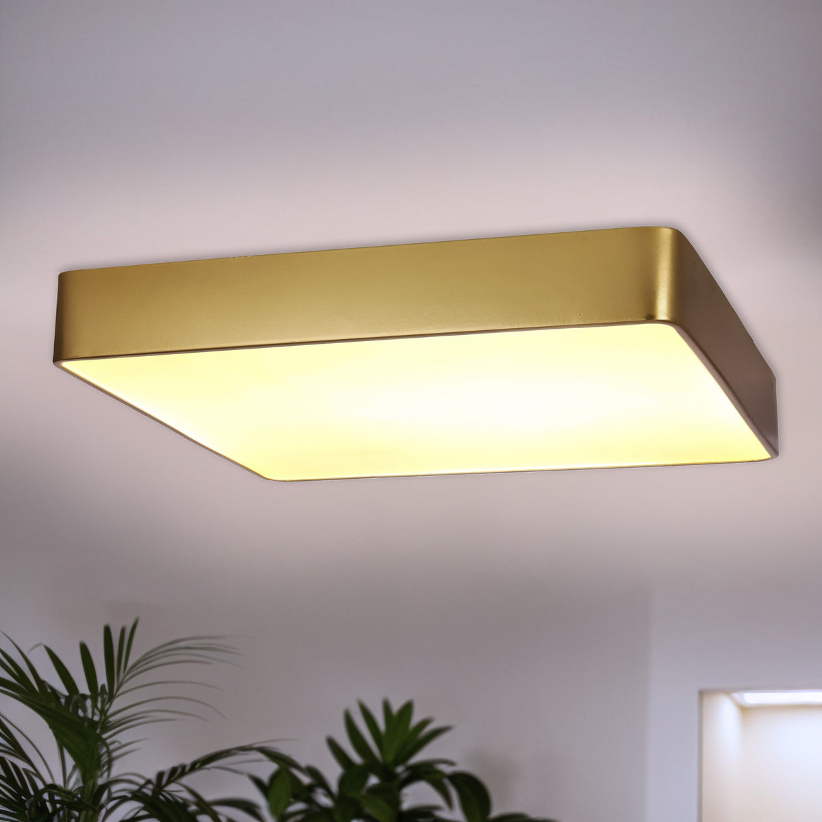 QUATTRO lampa plafon kwadratowy 30x30 LED złoty IP44