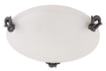 lampa plafon eva 30 1x60W E27