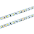 Taśma LED 60 SMD 2835 IP20 - zimna 50m 4,8W/m