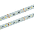 Taśma LED 60 SMD 5050 IP20 - RGBNW szer.12mm