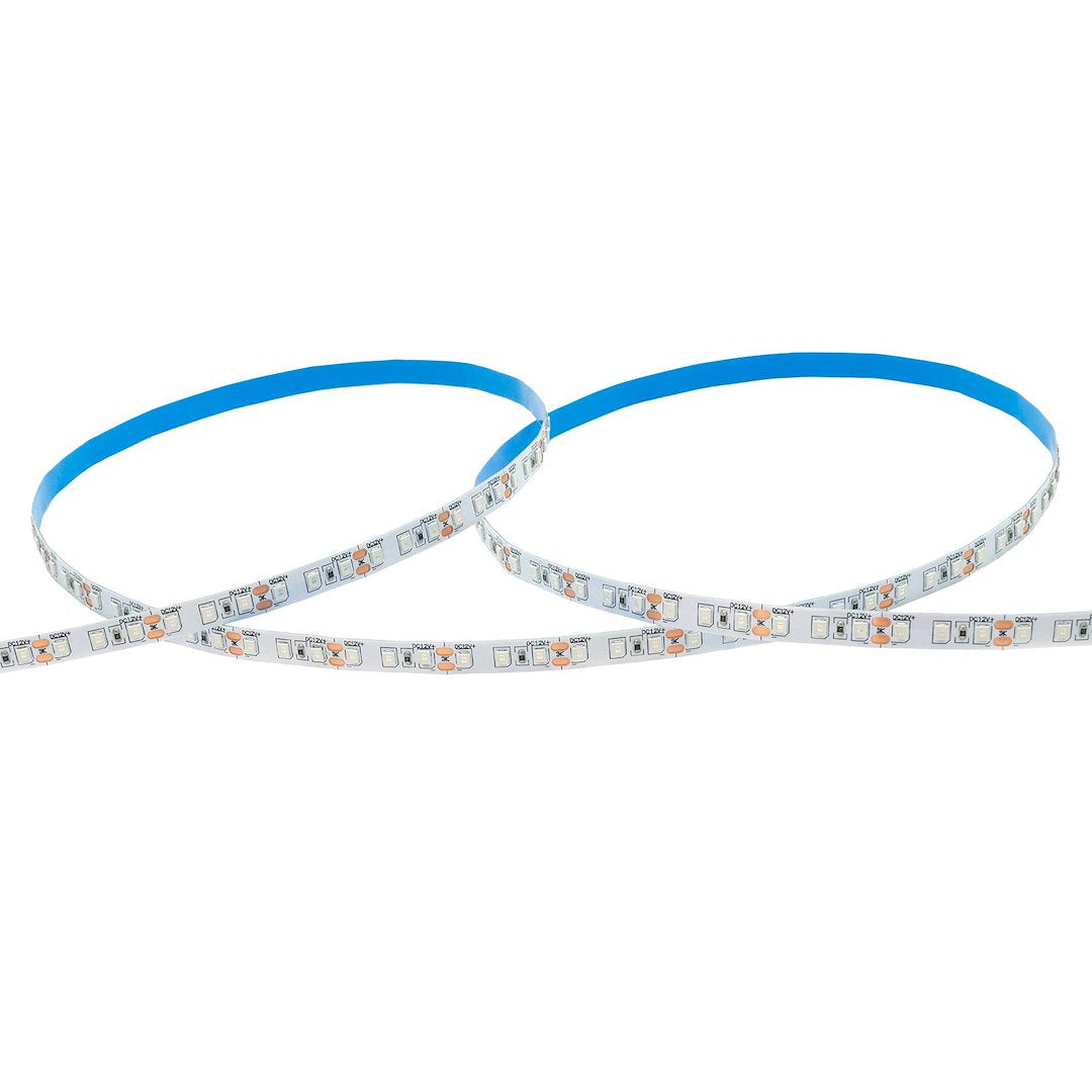 Taśma LED 120 SMD 2835 IP20 - niebieska rolka 5m