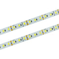 Taśma LED 120 SMD 2835 IP33- 11000K 14,4W, 3 lata gwarancji