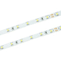 Taśma LED 60 SMD 2835 IP20 24V 6000K4,8W/m rolka 50m