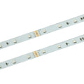 Taśma LED PRO 48 SMD 4040 IP20 - RGB 24V 11,5W rolka 30m