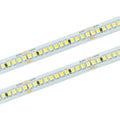 Taśma LED 240 SMD 2835 IP20 6000K 24V