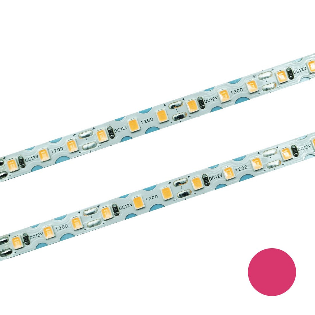 Taśma LED 120 SMD skrętna IP20 różowa7W/m rolka 10m