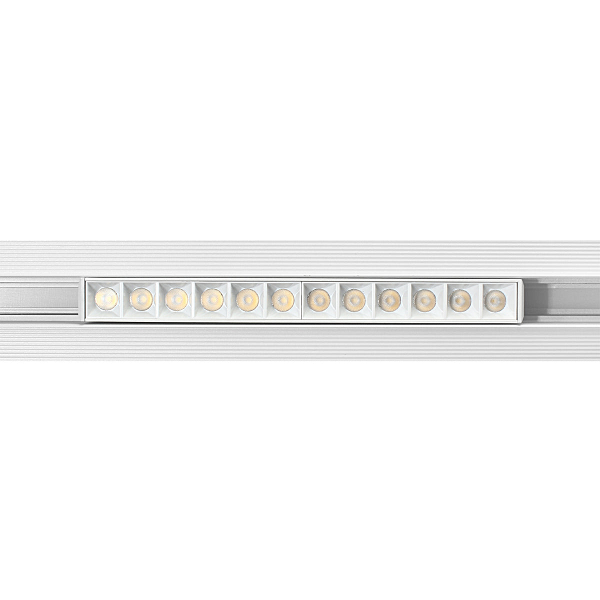 Lampa z diodami do szyn magnetycznych biała 12W 4000K DDCX-GS12-220 - TYP B